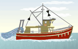 y6